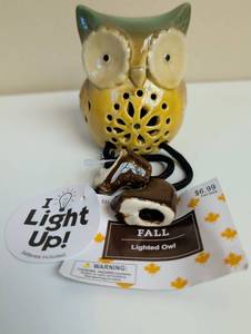 lot 16927 image: Light Up Decorative Ceramic Owl