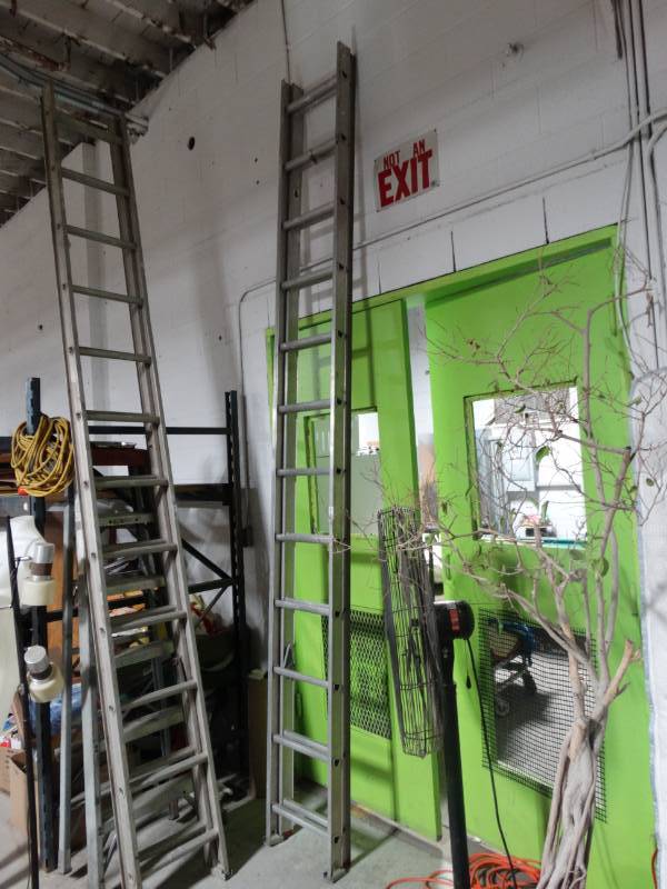 lot 10177 image: Werner 24ft Extension Ladder