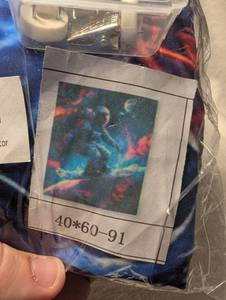 lot 2031 image: Astronaut Wall Tapestry