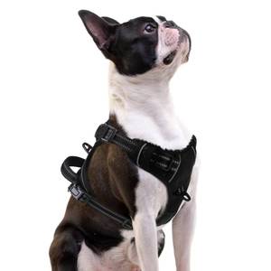 lot 870 image: PUPTECK No Pull Dog Harness Small Sized, Adjustable Reflective Dog Harness with Handle Easy Control, Comfortable Soft Padded Pet Vest Harness for Small Dogs, Black S - Retail $18