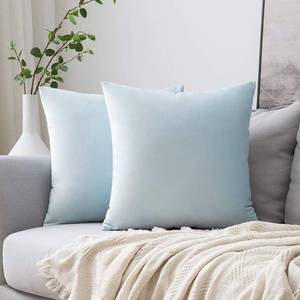 lot 54915 image: Velvet Throw Pillow Covers 20x20 Inch, Pack of 2 - Baby Blue, Soft Solid Decorative Pillow Covers Cushion Cases Modern Luxury Home Decor for Spring Couch Sofa Bedroom Livingroom - Retail $21