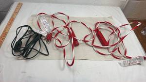 lot 40 image: Holiday Extension Cords Set - Green & Candy Cane Striped