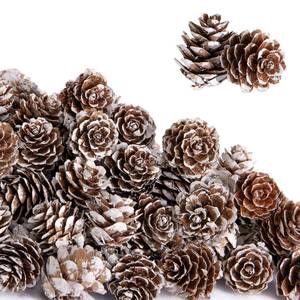lot 587 image: Deloky 150 Pcs Christmas Natural Mini Pine Cones- 1 Small Christmas Snow Pinecones Ornaments- Thanksgiving Mini Snow Pinecones for DIY Crafts Vase Fillers Fall Winter Home Christmas Tree Decor - Retail $17