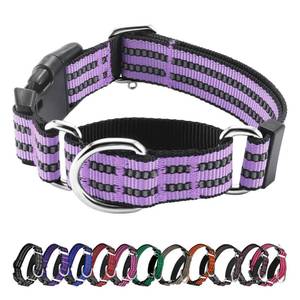 lot 603 image: Hikiko Martingale Dog Collars Reflective Nylon Dog Collar with Quick Release Buckle Adjustable Training No Slip Dog Collar (Large, Lavender) - Retail $14