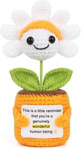 lot 2670 image: Sizobi Positive Crochet Coworkers Gifts, Handmade Emotional Support Flowers Plants Inspirational Birthday for Best Friend,Teacher, Sister, Mom, Appreciation Thank You Gift for Women,Men
