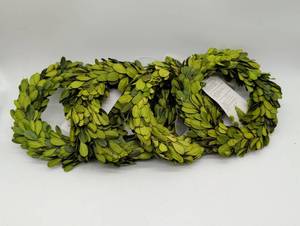 lot 11143 image: Preserved Boxwood Wreath Set of 4