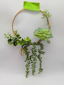 lot 11185 image: Gold Hoop Succulent Wall Wreath