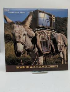 Timbuk 3 - Greetings From Timbuk 3 LP