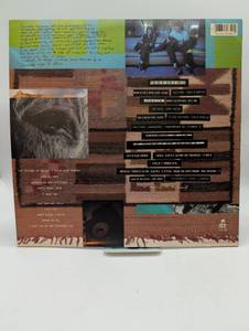 Timbuk 3 - Greetings From Timbuk 3 LP