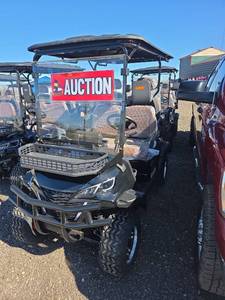 lot 302282603 image: SDLGC80 Electric Golf Cart