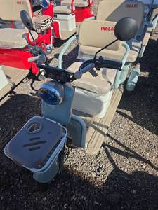 lot 302282630 image: IRGC40 Electric Golf Cart Fleet