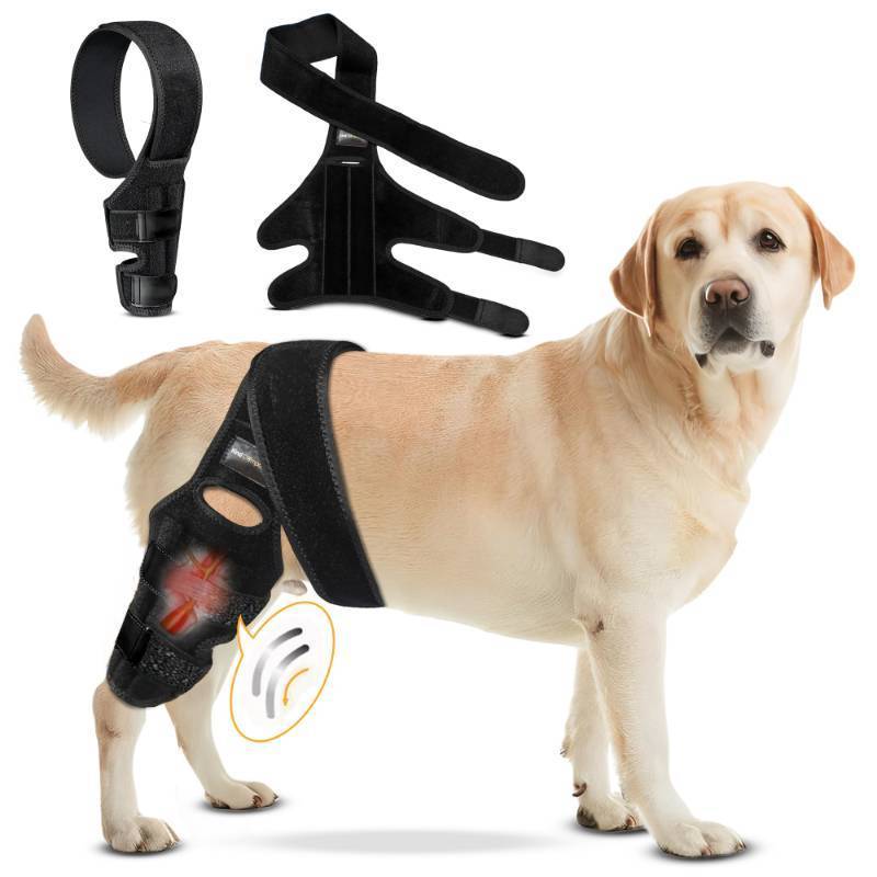 lot 34753 image: Dog Knee Brace for Torn ACL Hind Leg - Adjustable Dog Back Leg Support - Knee Brace for Dogs for Joint Pain Relief, Arthritis & Injury Recovery - Comfortable & Vet-Recommended (Small) - Retail $27