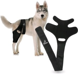 lot 2293 image: PetVest Dog Knee Brace   Adjustable Strap Hind Leg Support for ACLCCL & Cruciate Ligament Recovery, Post-Surgery & Arthritis Pain Relief, Joint Stability - Medium Dogs