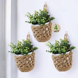 lot 2396 image: 3PK Wall Planters for Indoor Plants with Self Watering Pots (4inch), Macrame Plant Hanger for Plant Wall  Wall Mounted Plant Holders for Succulent & Herbs