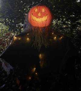 lot 5061 image: Halloween Scarecrows for Outside Poseable Halloween Scary Pumpkin Man Decorations with Lights and Timer (6H On18H Off) Pumpkin Man Decorations Outdoor Scarecrows for Yard Party Porch