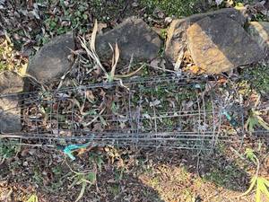lot 1316 image: Tomato Cages--Out
