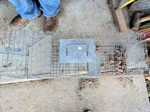 lot 1318 image: Live Trap--Shed