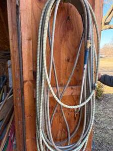 lot 1337 image: Garden Hoses--Shed