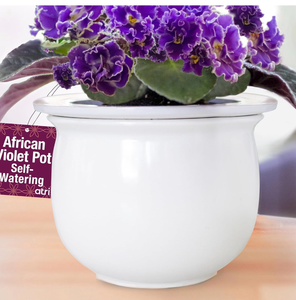 lot 68422 image: Self Watering Pots - Retail $24