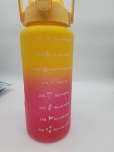 lot 69198 image: Motivational Water Bottle with Time Markers - Retail $15