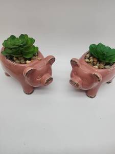 lot 69271 image: Pink Ceramic Pig Planters Set of 2 - Retail $24