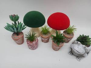 lot 69287 image: Decorative Mushroom Garden Set with Succulents - Retail $35