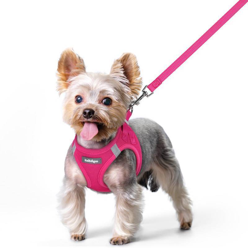 lot 61746 image: Dog Harness Small Sized and Leash Set, Step in Soft Light Puppy Vest, Breathable Mesh Pet Harness, Reflective for Safe Easy Walking, Rose Red XS - Retail $15