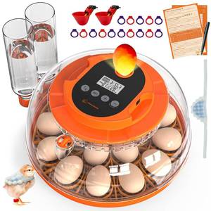lot 7274 image: 18 Egg Incubator with Automatic Turning & Humidity Control, Fully Automatic Incubators with 2 Trays, Egg Candler, for Hatching Chicken, Duck, Goose, Quail, Pigeon, Turkey, Home, Classroom, Farm Use