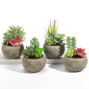 lot 7446 image: SPEPLA Succulents Plants Artificial 4 Pack, Mini Fake Succulents in Pots, Assorted Small Faux Succulent Decorative for Living Room Home Office Decor