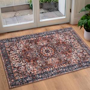 lot 7475 image: ISEAU Indoor Entryway 2x3 Vintage Rug - Small Machine Washable Area Rug with Non-Slip Backing, Low Pile Throw Rugs for Door, Entrance, Kids Room, Classroom, Bedside, Bedroom, Kitchen
