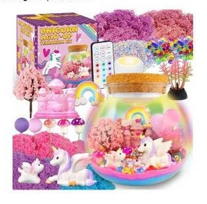 lot 26403 image: Unicorn Terrarium Craft Kit with LED Light