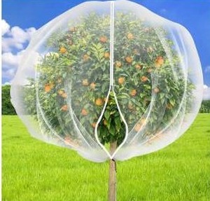 lot 26435 image: Large Fruit Tree Netting Cover, 8ft x 8ft