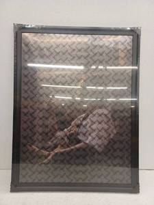 lot 39725 image: 24x32 Poster Frame, Black