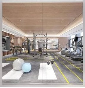 lot 39785 image: 56X24 2Pack Large Home Gym Mirror