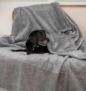 lot 1114 image: Waterproof Dog Blanket for Large Dogs, 90x90, Light Grey, Washable