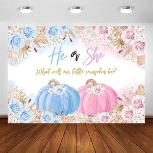 lot 3555 image: Avezano Pumpkin Gender Reveal Backdrop Fall Theme He or She Baby Gender Reveal Party Decorations Boho Blue or Pink Floral Party Photography Background Banner (7x5ft)
