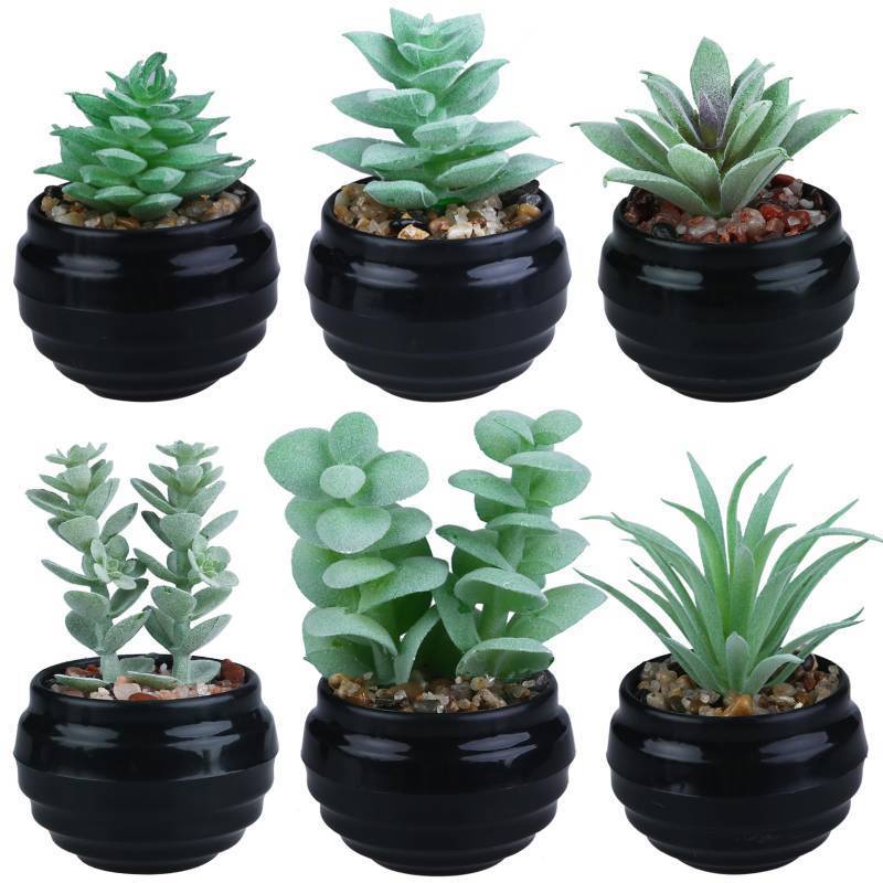 lot 44004 image: 6 Pcs Green Artificial Succulent Plants in Black Plastic Pots Mini Faux Succulent Plants Indoor Room Decor Aesthetic Bedroom Shelf Desk Bathroom Office Table Home Decoration - Retail $10