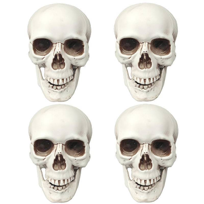 lot 34909 image: Skulls Halloween Decor, 5 Inch Plastic Fake Skeletons, Mini Skulls for Crafts Outdoor Halloween Decorations, Realistic Miniature Human Skull Heads (4) - Retail $20