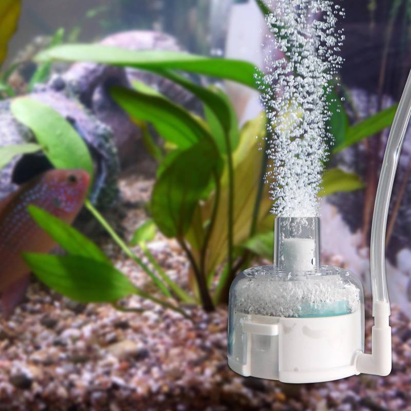lot 34968 image: Small Aquarium Sponge Filter, Small Fish Tank Filter & Mini Submersible Fish Filter Built-in Air Bubble Stone and Bio Sponge for Fish Tanks up to 5 Gallon (Air Pump Not Included)