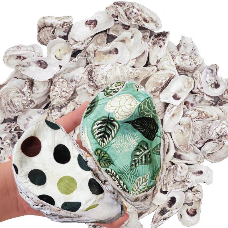 lot 14962 image: 15PCS Oyster Shells for Crafts, Natural Concave Sea Shells BulkDIY Home Decor, Vase Filler, Jewelry Making, Candle Making, Xmas Ornaments, Beach Wedding, Coastal Decor