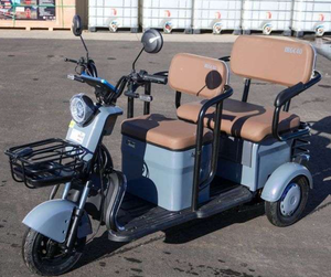 lot 9819 image: IRGC40 Electric Vehicle  New In The Box
