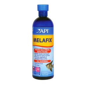 lot 6728 image: API MELAFIX Freshwater Fish Bacterial Infection Remedy 16-Ounce Bottle