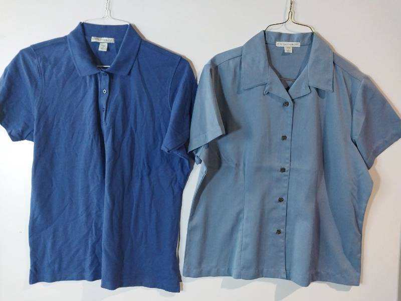 lot 67264 image: APPEARS NEW - Port Authority Ladies Blue & Light Blue Button-Down Shirts (Size Large) 2 Pack
