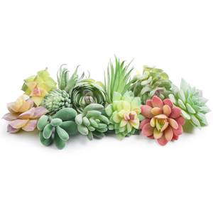 lot 21282 image: HappyHapi 12 Pcs Artificial Succulents Mini Fake Plants Unpotted Faux Succulent for Craft, Small Plastic Succulents Assortment in Flocked Green Floral Decor for Party, Cake, Garden & Outdoor - Retail $14