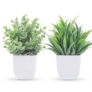 lot 26380 image: Der Rose 2 Pack Small Fake Plants Mini Artificial Potted Plants for Table Desk Home Laundry Room Bathroom Office Decor - Retail $7