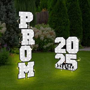 lot 32592 image: Amyhill 6 Pcs Prom 2025 Yard Signs & Lights, Silver & Black, Outdoor-Decor, Party Supplies