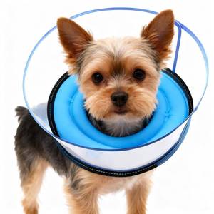 lot 32632 image: 2-in-1 Soft Inflatable Dog Cone Collar Alternative with Enhanced Anti-Licking Guard Shield, Dog Collar After Surgery, Adjustable Recovery Cones for Large Medium Small Dogs and Cats(Blue, M) - Retail $18