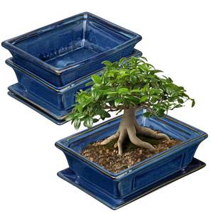 lot 804 image: One Piece Villa Como Bonsai Pot Small Shallow Succulent Planters for Live Bonsai Trees Set of 1, 7.5 Ceramic Pot for Succulents Indoor with Drainage Hole and Saucer, Outdoor Cactus Plant Bonsai Pot - Retail $30