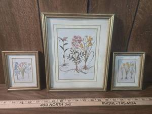 lot 89 image: Set of 3 Framed Botanical Prints