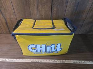 lot 260 image: Chill Smooth Fruit Ice Insulated Delivery Bag
